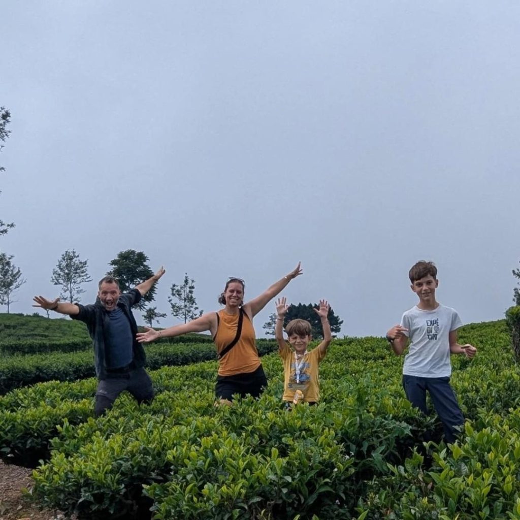 Rwanda tea plantation experience