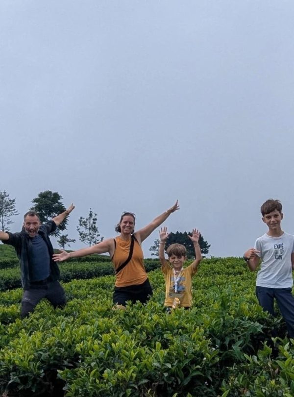 Rwanda tea plantation experience