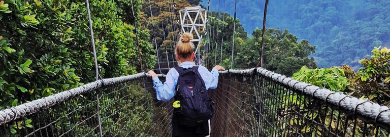 Canopy-walk2
