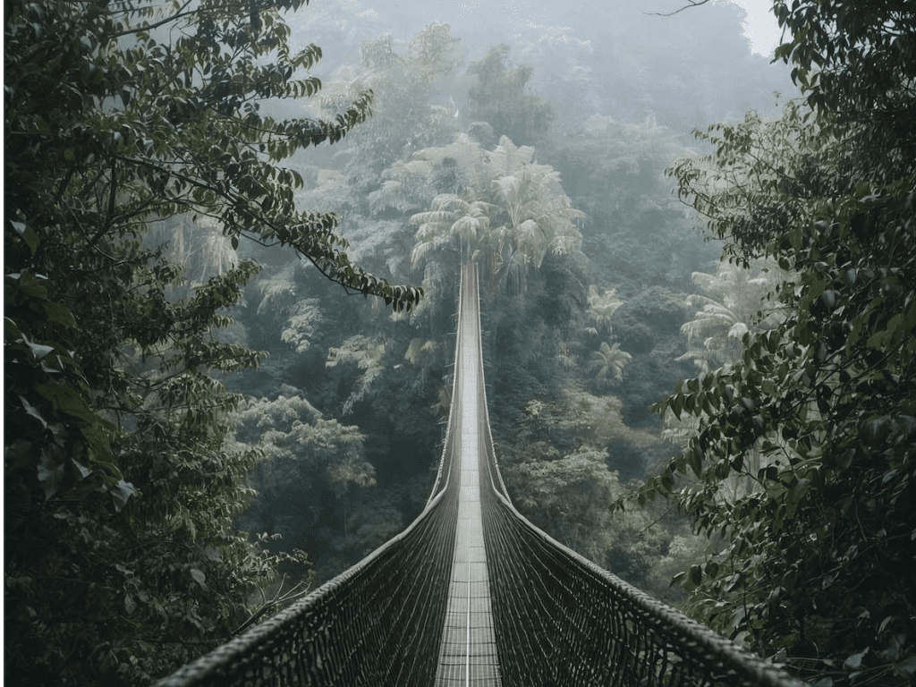 Untitled design (5)
