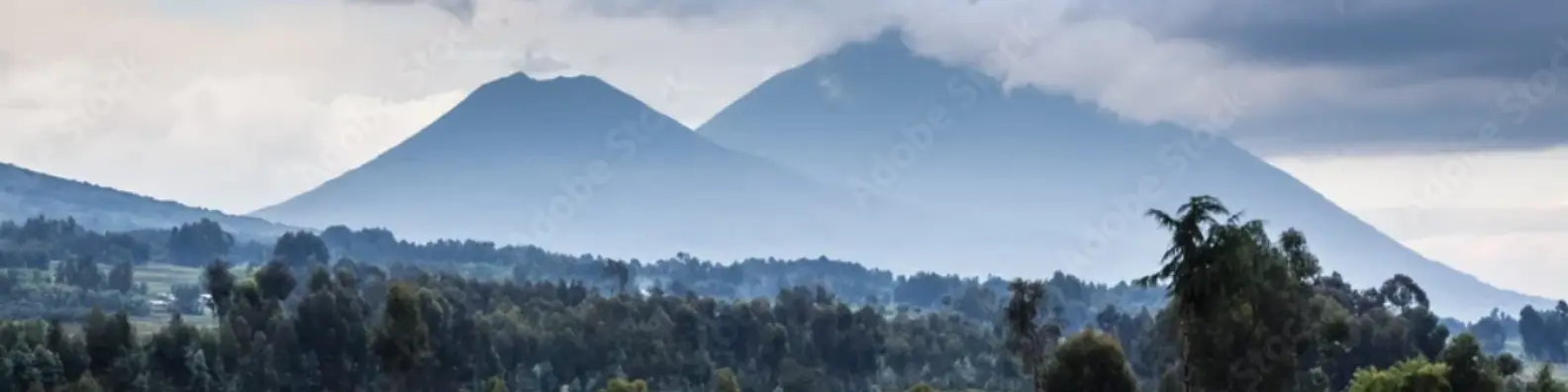 Thousand Hills