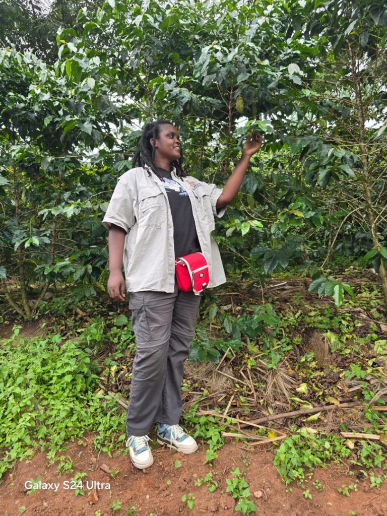 Coffee farm experience in southern Rwanda