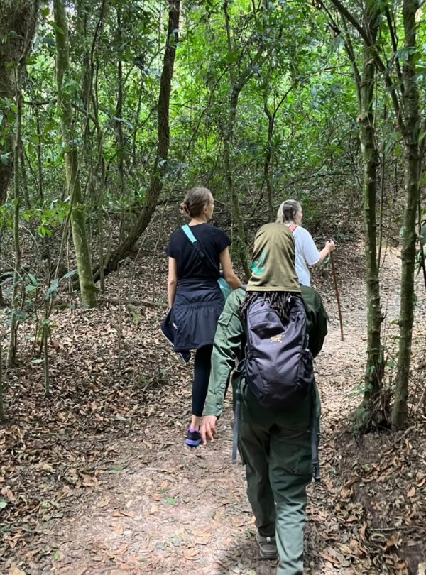 Traveler walking through Nyungwe National Park rainforest Rwanda